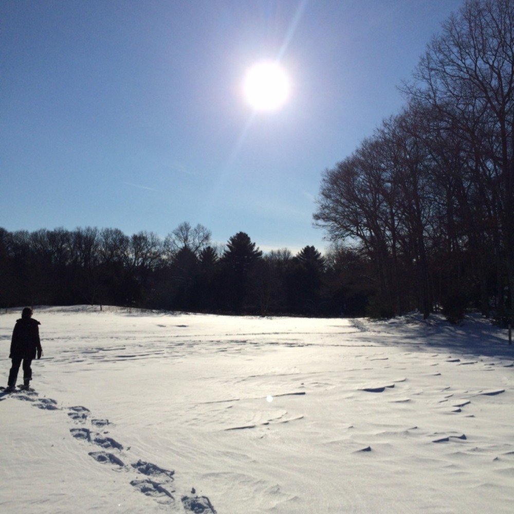 Meet your Posher, Rachel tali